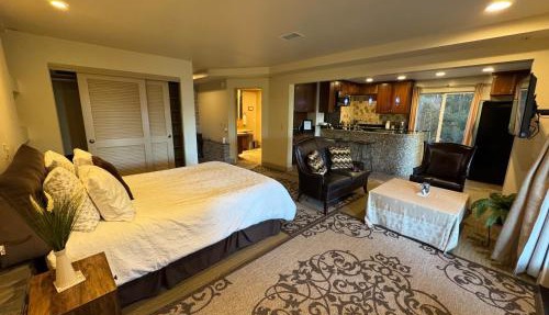 Guesthouse in Coastal Del Mar, California