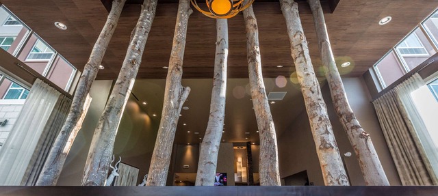 Homewood Suites by Hilton Charlotte Ballantyne, NC