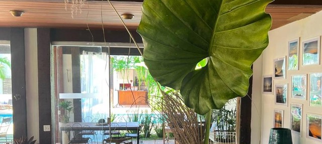 Hotel Casa Paradiso Guarujá