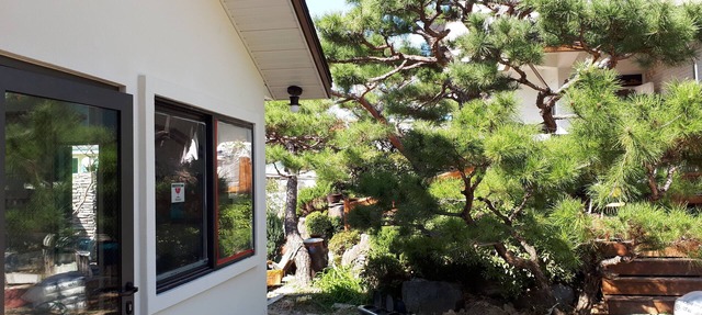House (2nd floor only) w/paintings, barbeque grill, garden