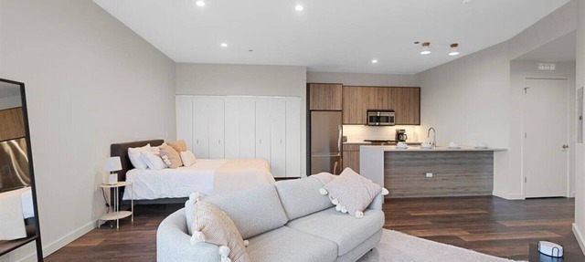 Huge Luxury Studio Apartment in Nevele22 - Chicago River West