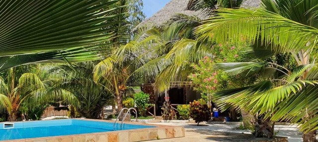 Kimurimuri - Stunning Beachfront Loft with Pool
