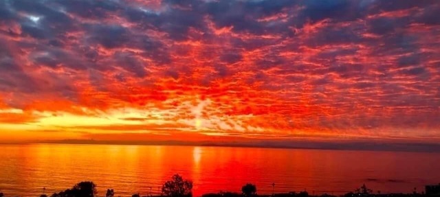Laguna's Hidden Gem Penthouse 2 BEDROOMS, DEN, Oceanview.Quality Beds, 4 guests