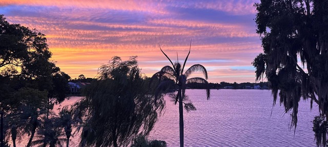 Lakefront Artist's Studio- Relax in Luxury!