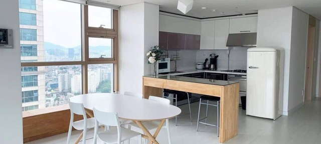 Large Apt, Awesome View, Seoul STN