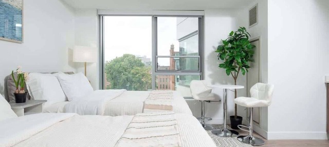 Lux Studio 2x Queen beds Gym near MIT Harvard in Central Square