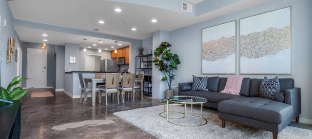 Luxurious 2/2 Downtown Apartment