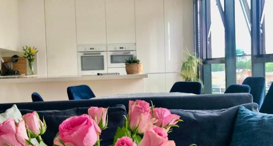 Luxury 2 bedroom apartment 20 min from central London