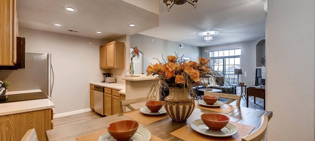 LUXURY FURNISHED CONDO, WHOLE FOODS, COSTCO, HOSPITALS, & CENTENNIAL AIRPORT