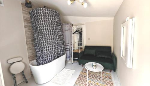 Micro studette indépendante non-fumeur, 10 m2, 45 min de Paris, sanitaires dans la même pièce que le couchage sans cloison, WiFi, kitchenette, mini terrasse, jardin, canapé lit 120x180 cm, gabarit léger, non adapté aux attentes hôtelières
