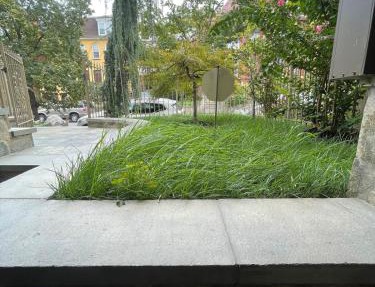 Modern 1BR Apartment in Columbia Heights Great Location