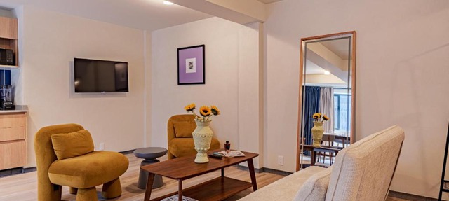 Modern Chic Loft in Historic Center casaXúla