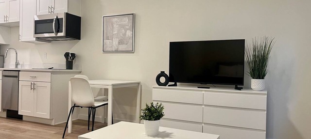 Modern Comfort Meets Stylish Studio