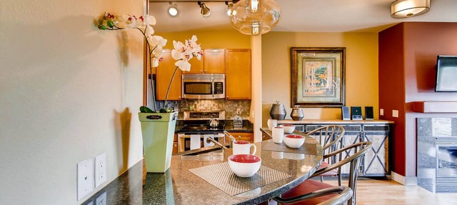 MountainViews Walk 2 Lightrail Luxury Condo in DTC