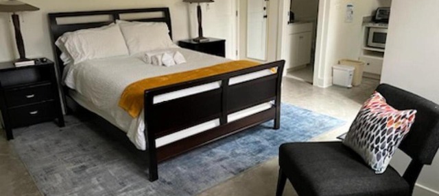 New Luxe Studio Cleveland Park near Zoo