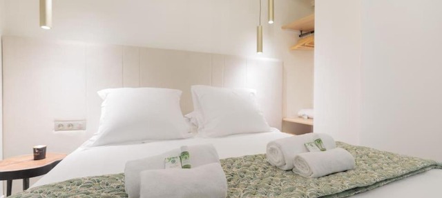 New Luxury and Cozy apartment - Notre Dame