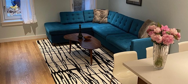 NYC Townhouse Garden Apt - Williamsburg Brooklyn 7 Min to Union Sq in Manhattan