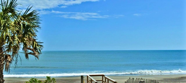 Ocean Dunes 1603 Oceanfront Views, Private Deck, Resort Amenities