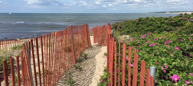 OCEANFRONT! Priv beach, VIEWS A/C WIFI,Streaming TV, Walkable, Relax, Memories!