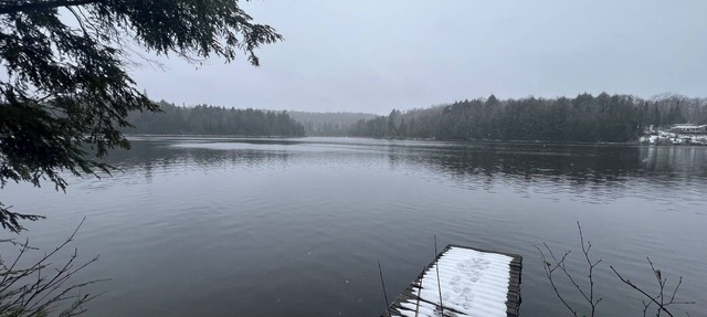 Off-Grid Forest Cabin on Beautiful Lake in Almaguin Highlands