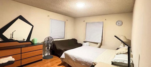 Palm Cabin