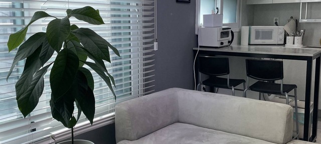 Peaceful-Neat 1 BR apt @gangnamdaechi