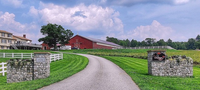 Peaceful Studio on Horse Farm - Hike, Relax, Explore!