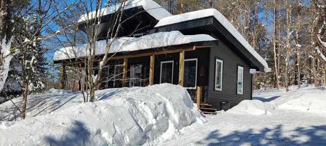 Pet Friendly - Gryffin RidgeThe Magic Forest