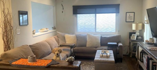 Pet friendly in Boulder! Minutes from CU & Pearl!