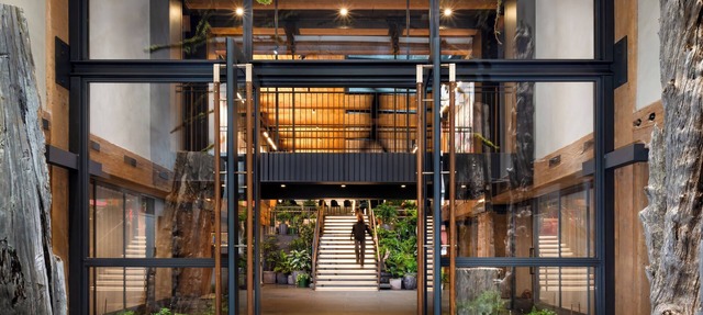 Populus Seattle