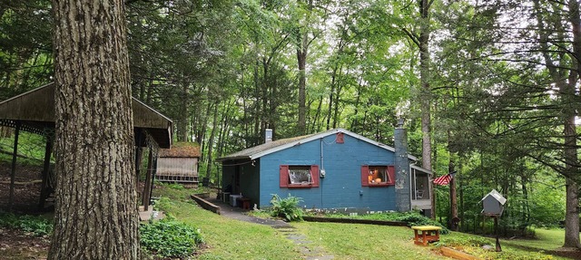Private rustic cabin in New Ringgold