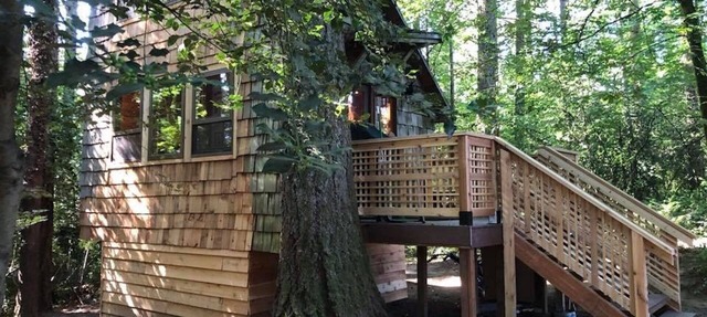 Private tiny forest cabin near Portland and local wineries.