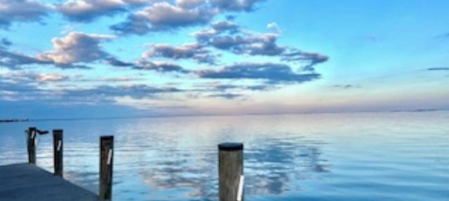 Reel Therapy boat-house studio on Lake Catherine/fishing pier, pets ok.