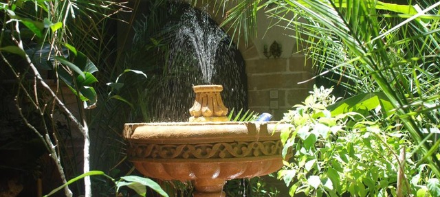 Riad Arambys