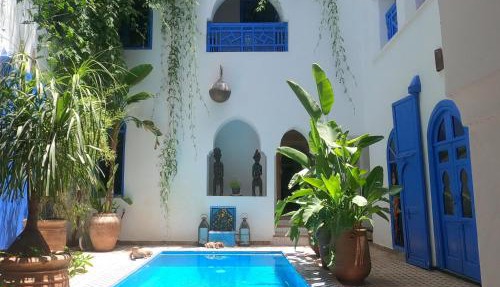 Riad Chameleon