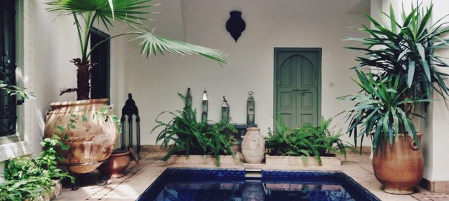 Riad Timila