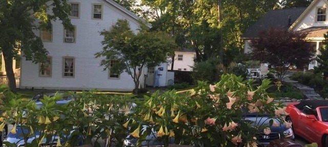 Scotch Hill Inn