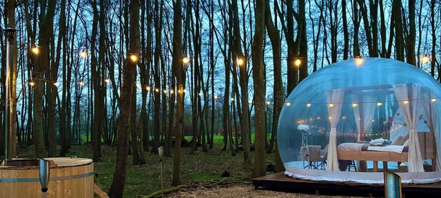 Skyview Bubbletent – Nature, luxury & stargazing just 20 min from Amsterdam