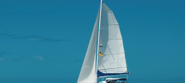 Sleep Under the Stars on a Sailing Catamaran near Amsterdam