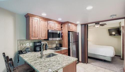 Slope-side Studio Dog Friendly Full Kitchen