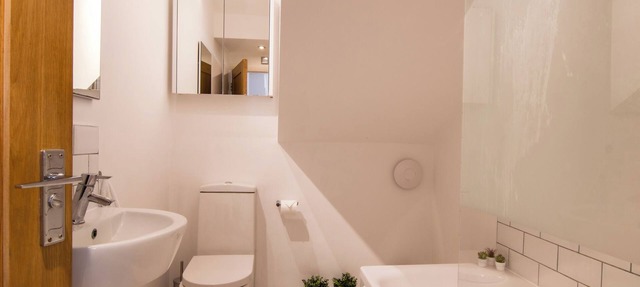 Spacious modern apartment