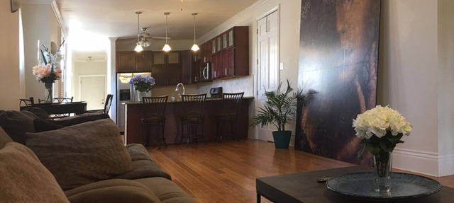 Spacious Napoleon Avenue Mardi Gras Apartment