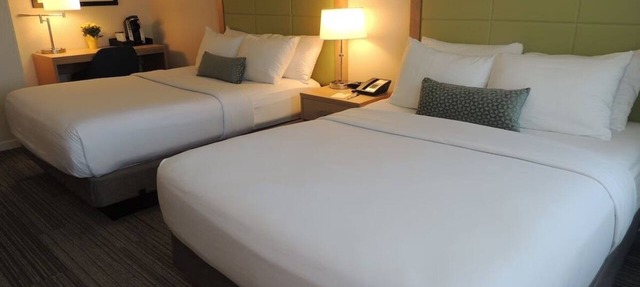 Spacious Suite with On-Site Dining in Medical Hub - Near Harvard Medical School