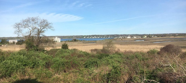 SPRING INTO SAVINGS Large Tranquil, Private Suite By The Sea, Birders Paradise