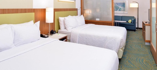 SpringHill Suites by Marriott Raleigh Cary