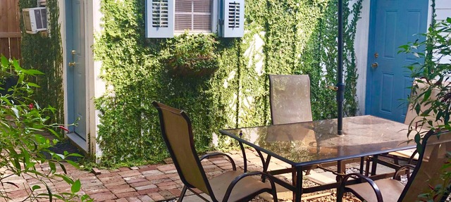 Studio Apartment Upper Garden District 2 blocks from Magazine Street.
