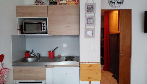 Studio cosy 4 pers, RDC, Sud, à 300m des pistes et 250m commerces, bien équipé, animaux admis. - FR-1-733-116