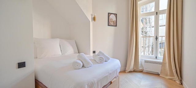 Sumptuous & Serene Parisian Flat