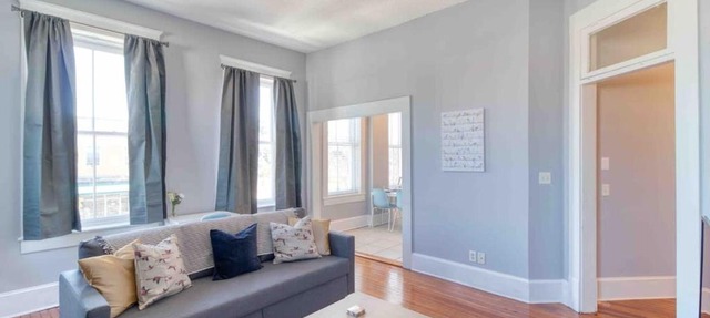 Sunny & bright - cute 1 BR apt in historic SPR