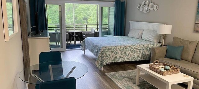 Teal Turtle Lodge Studio in Ocean Creek Resort